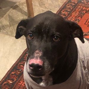 Meet your Posher, John